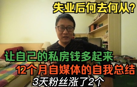 中年失业后何去何从?自媒体让我月入2600元,12个月的历程和总结哔哩哔哩bilibili