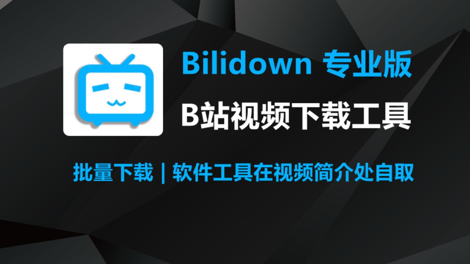 Bilidown 2024 专业版下载安装 (哔哩哔哩视频工具,B站视频下载工具) 附安装手册哔哩哔哩bilibili