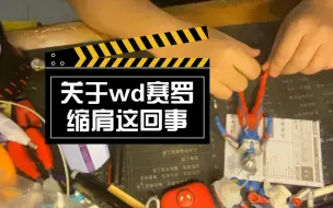 Download Video: 关于wd赛罗缩肩这回事