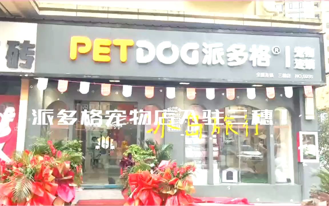 贵州派多格宠物(三穗店)盛大开业!宠物食品用品营养品琳琅满目,宠物洗美、寄养服务专业放心哔哩哔哩bilibili