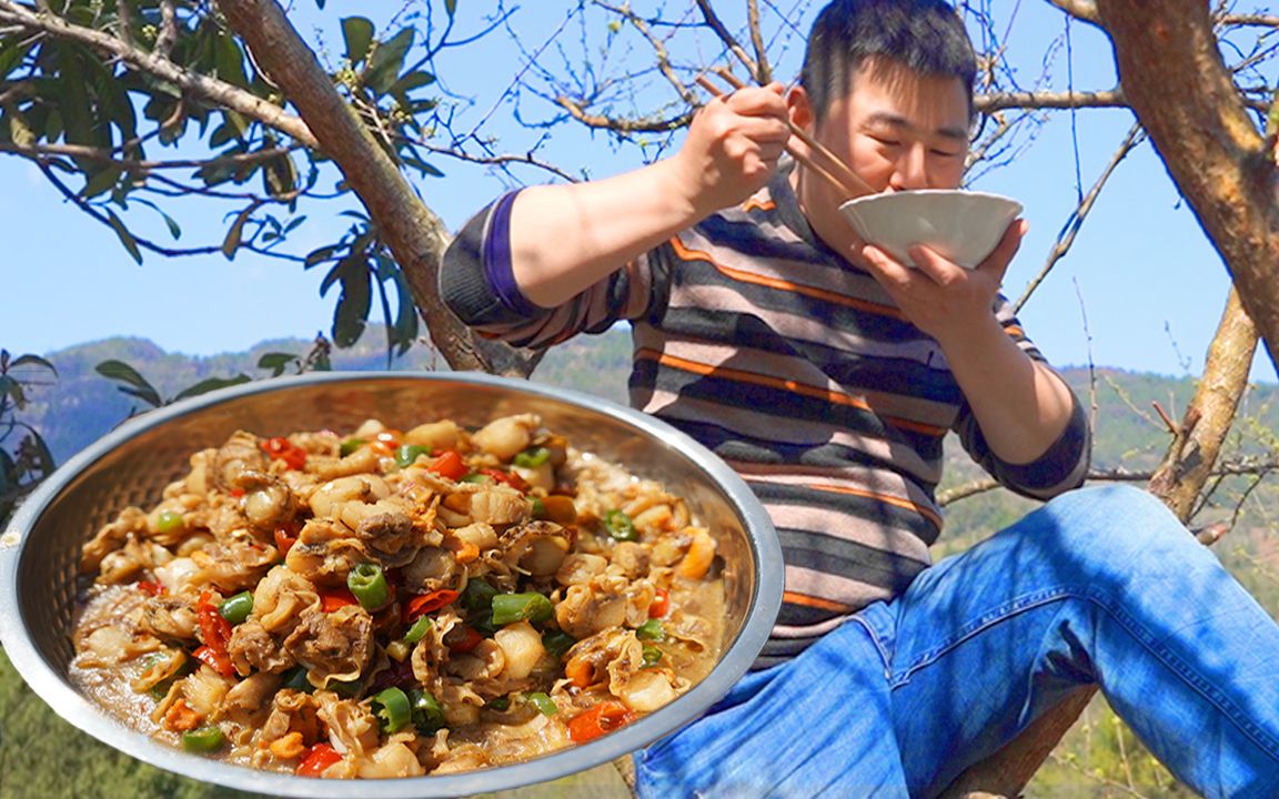 4斤扇贝1斤辣椒,超小厨做“辣炒扇贝”汤汁拌饭上树吃,真带劲哔哩哔哩bilibili