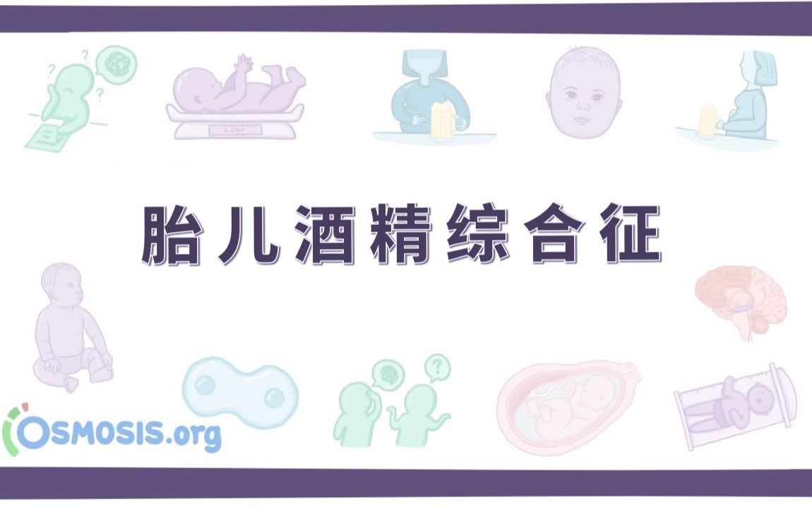 【osmosis】胎儿酒精综合征 fetal alcohol syndrome(中英字幕)