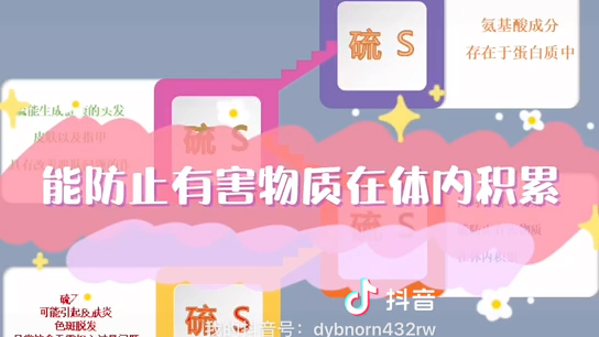 矿物质的功能与作用4哔哩哔哩bilibili