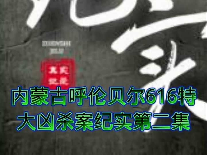 #大案纪实 内蒙古呼伦贝尔616特大凶杀案纪实第二集哔哩哔哩bilibili