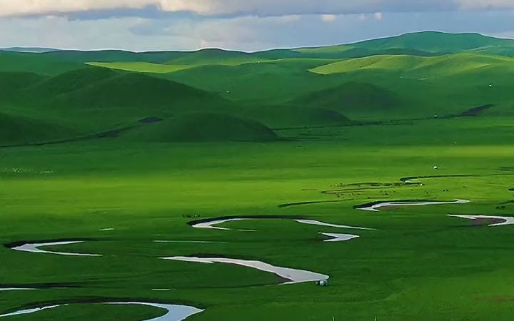 有一片草原天鹅飞来不想回,让我敬畏的大自然,赋予了一切治愈能力