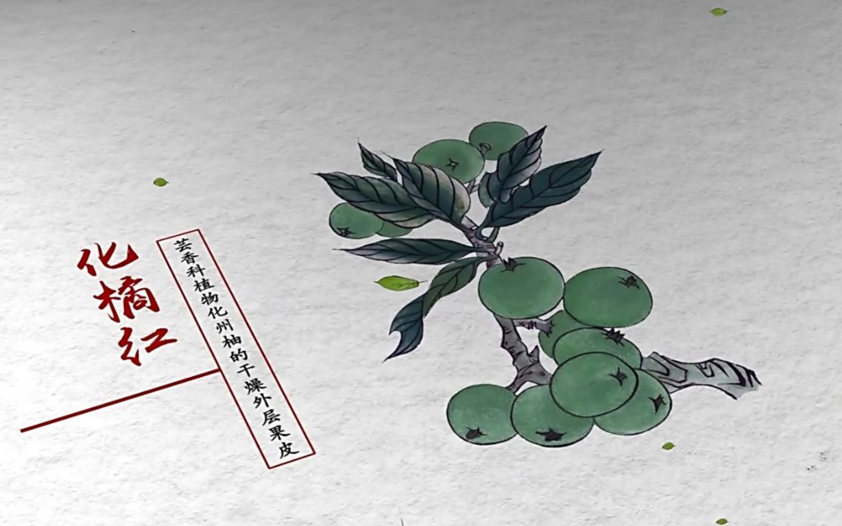 【本草物语】化橘红(1080p)
