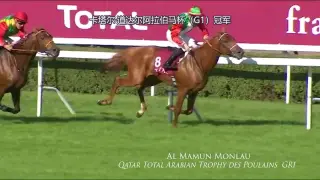 地方競馬水分