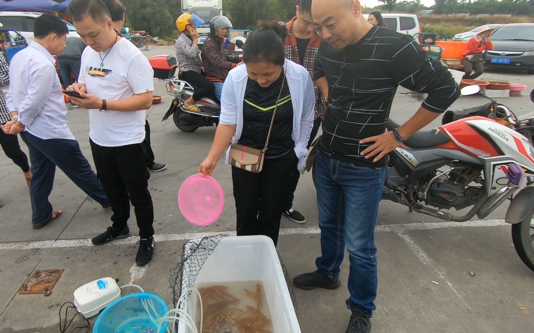 阿阳冒着九级大风捕到虾群,不料阳嫂晕船,上岸后铁粉把货全买光哔哩哔哩bilibili