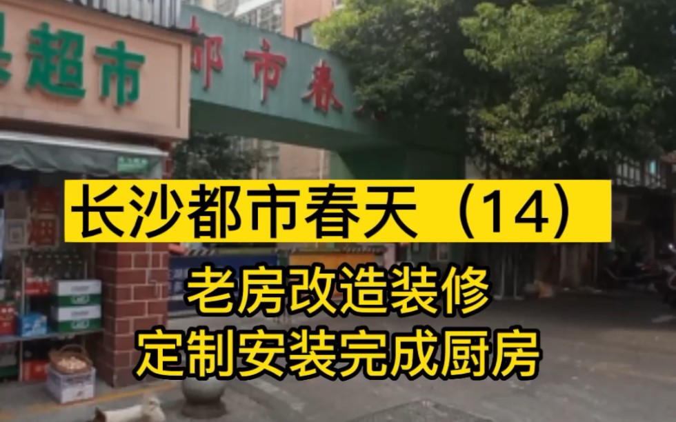 长沙都市春天(14),老房改造装修,定制安装完成厨房.哔哩哔哩bilibili