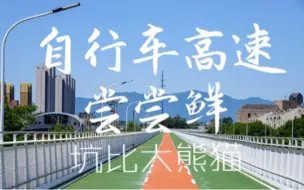 Download Video: 【熊猫骑北京】首次体验最新北京自行车专用路