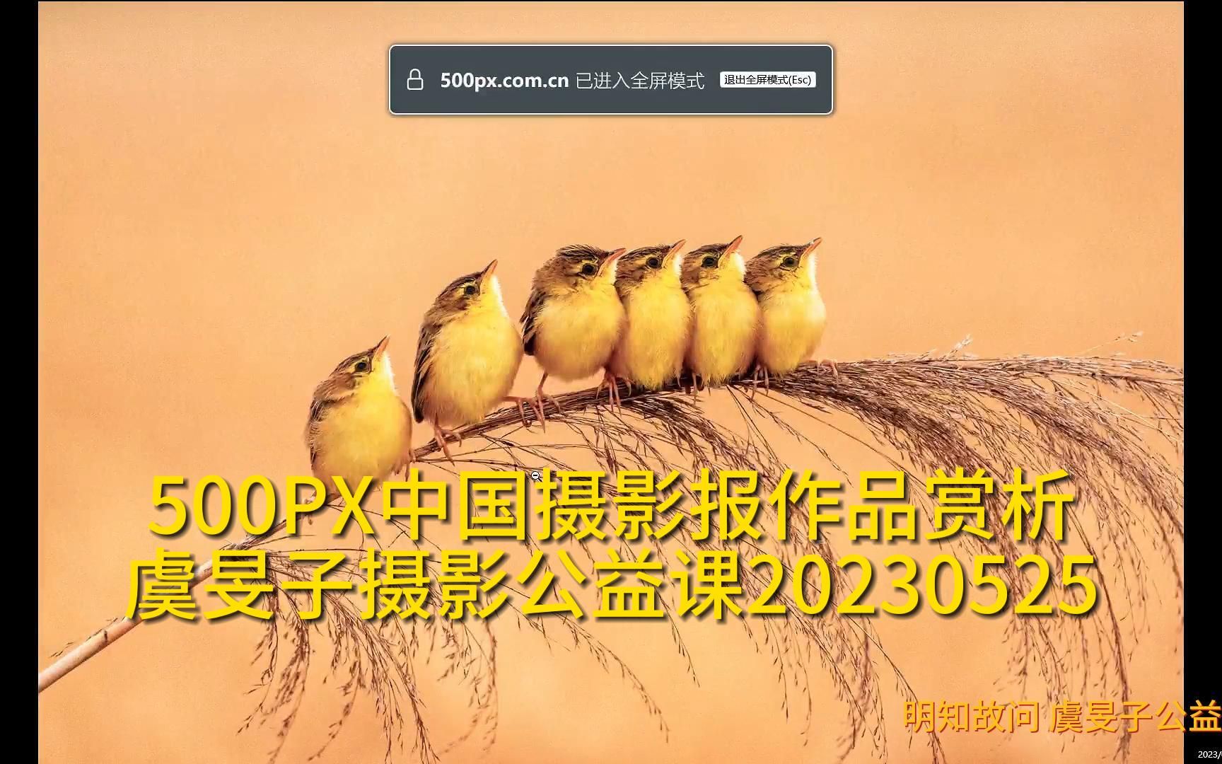 500PX中国摄影报作品赏析20230525哔哩哔哩bilibili