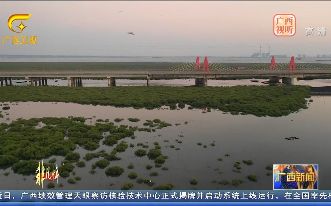 防城港:先行先试蓄势赋能,加快建设现代化临港工业城市哔哩哔哩bilibili