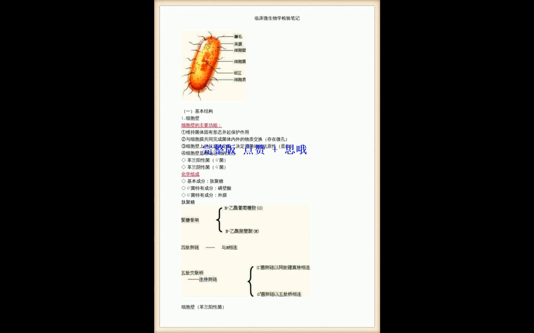 [图]临床微生物学检验技术考试笔记+复习资料