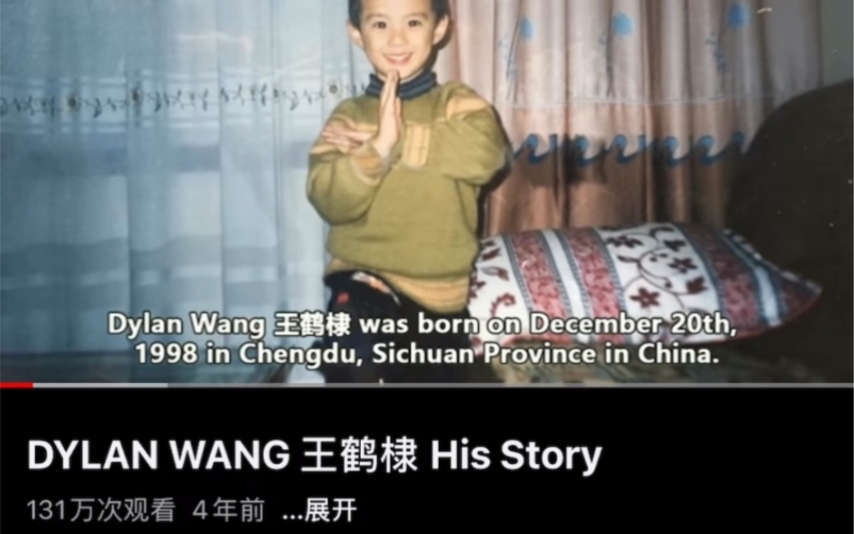 Dylan Wang王鹤棣His Story 海外版哔哩哔哩bilibili