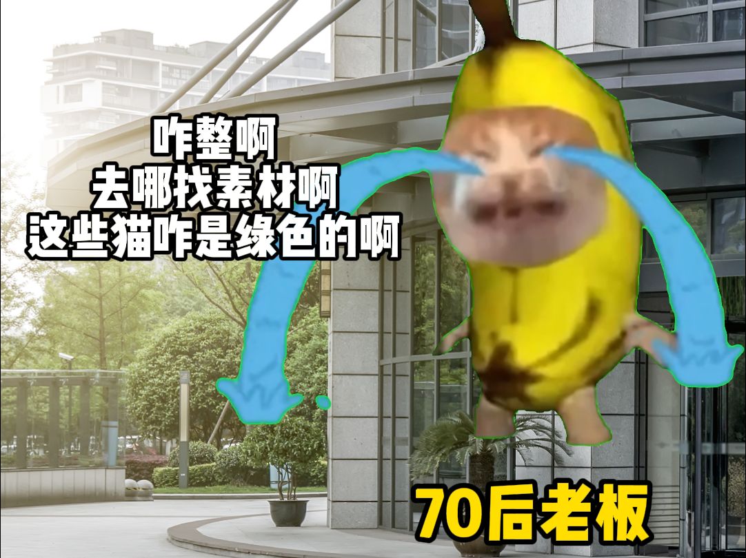 当我请假去考驾照,老板被迫上手做猫meme……的过程……哔哩哔哩bilibili