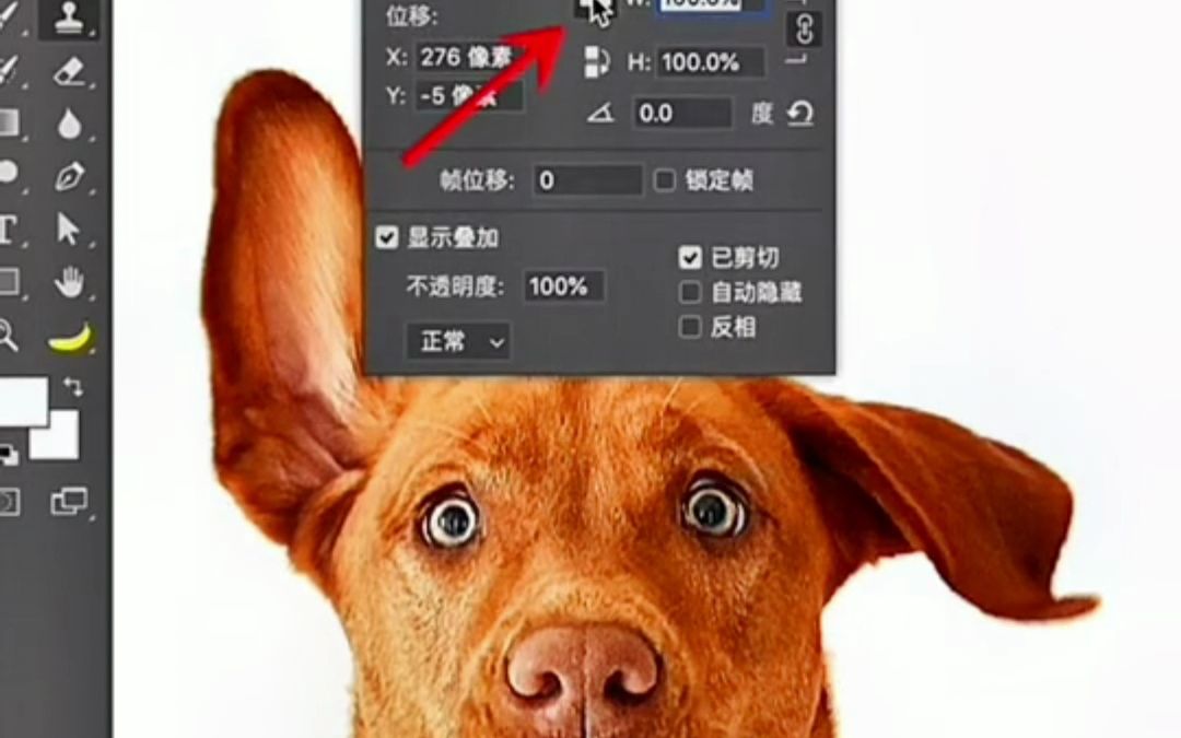 ps仿制图章工具,你真的会用嘛?