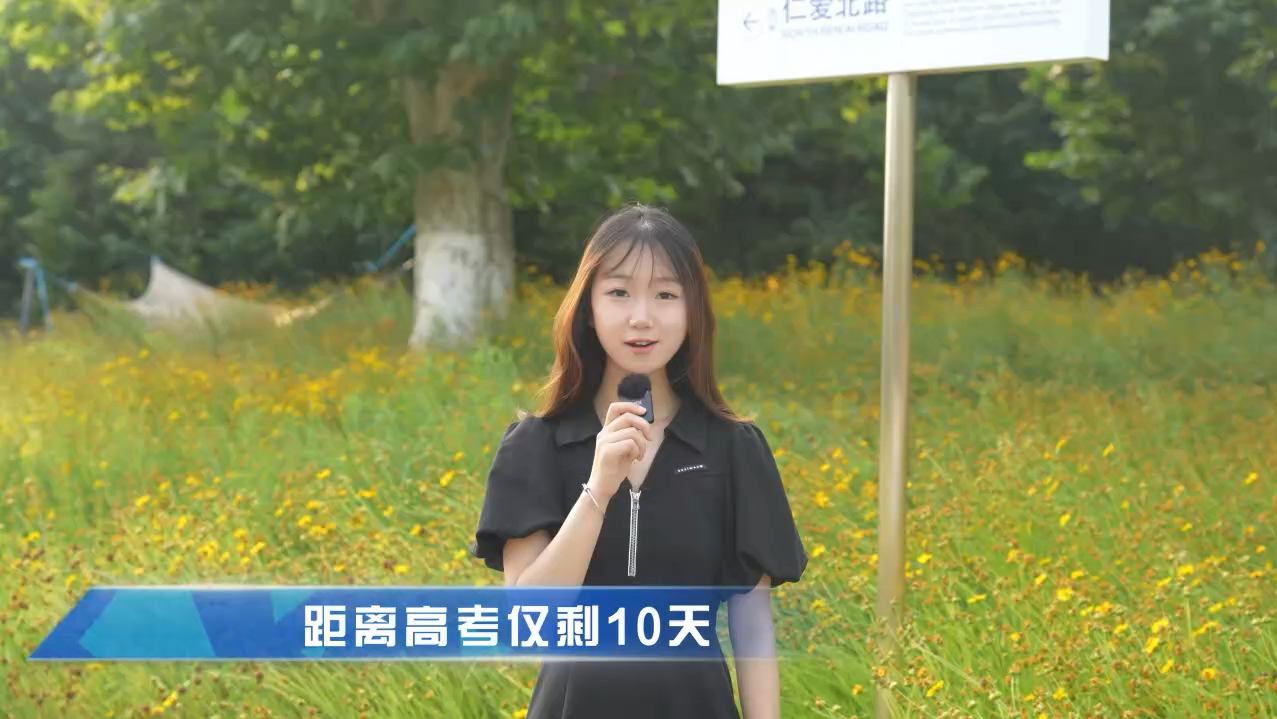 【安徽理工大学】高考倒计时10天,愿你历尽千帆,得偿所愿,旗开得胜,一举夺魁哔哩哔哩bilibili