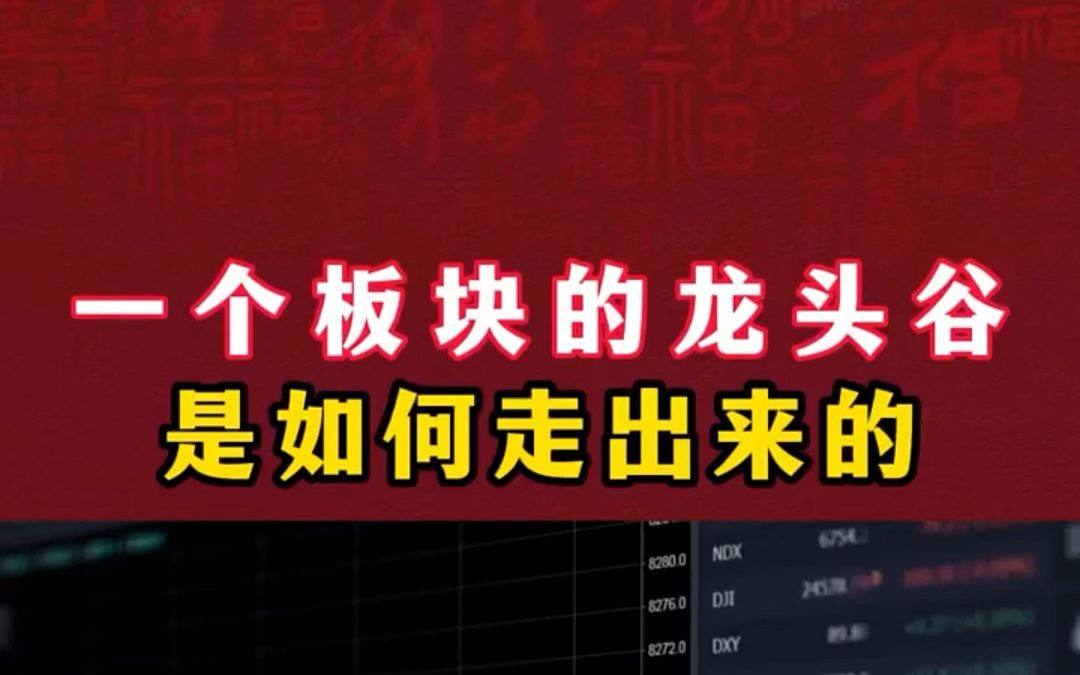 瞬间炸了!终于知道如何快速找到板块中的龙头股哔哩哔哩bilibili