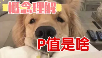 五分钟搞懂！什么是p值？假设检验？原假设？备择假设？全B站最最好理解的p值含义！