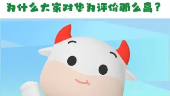 华为为什么评价那么高？
