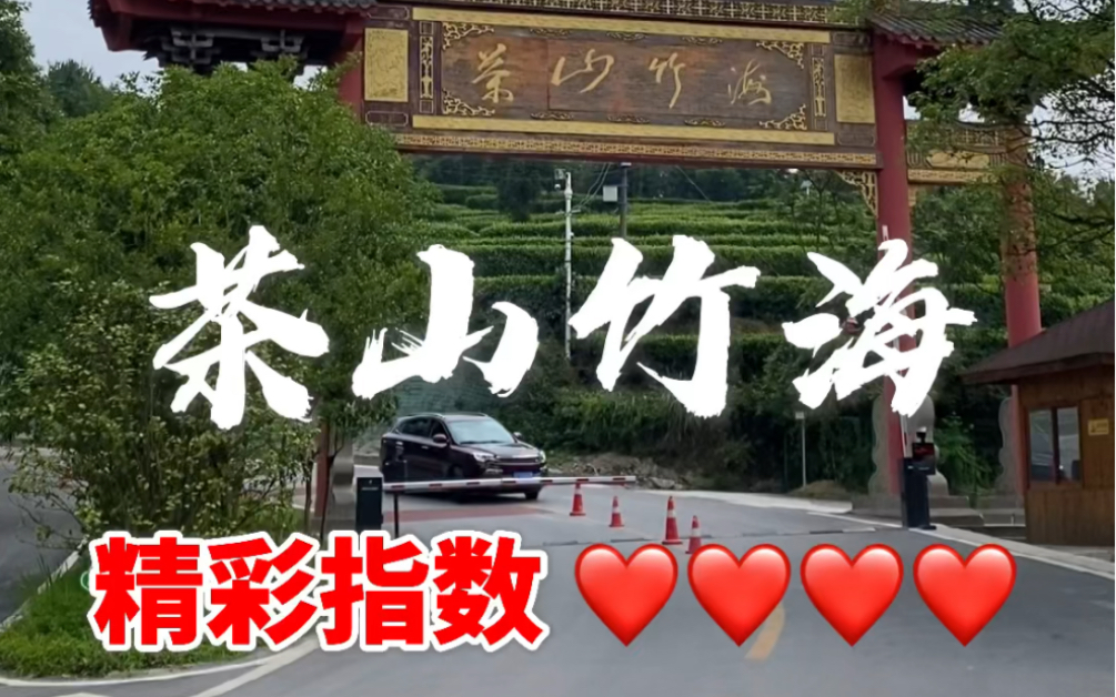 茶山竹海:精彩指数❤️❤️❤️❤️哔哩哔哩bilibili