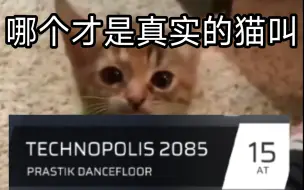 Télécharger la video: 把猫叫换成TECHNOPOLIS 2085的鬼畜采样