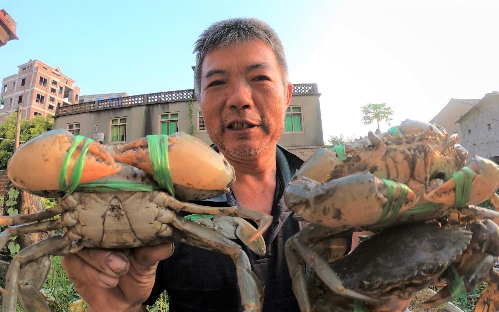 泰叔幹完農活出發趕海,在灘塗深洞抓住大青蟹,全部賣了值好幾百