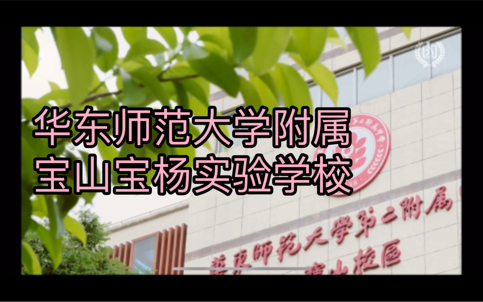 华东师范大学附属宝山宝杨实验学校来了!哔哩哔哩bilibili