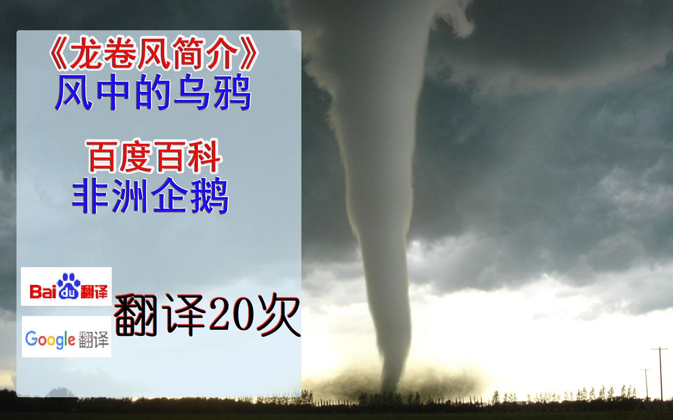 《龙卷风简介》百度&谷歌翻译20次,改邪归正的龙卷风?哔哩哔哩bilibili