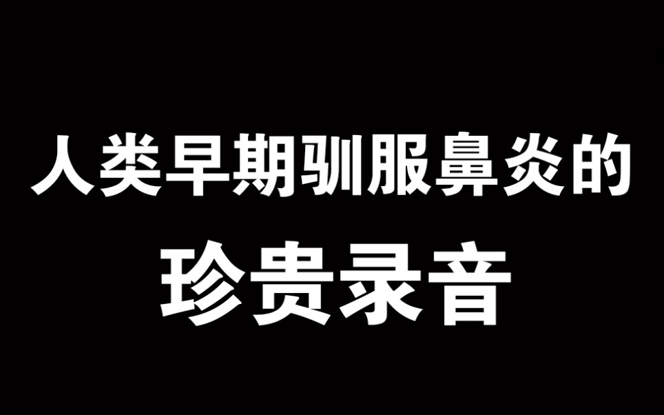 活动作品原来大妈音在鼻炎时会变成少年音啊大雾