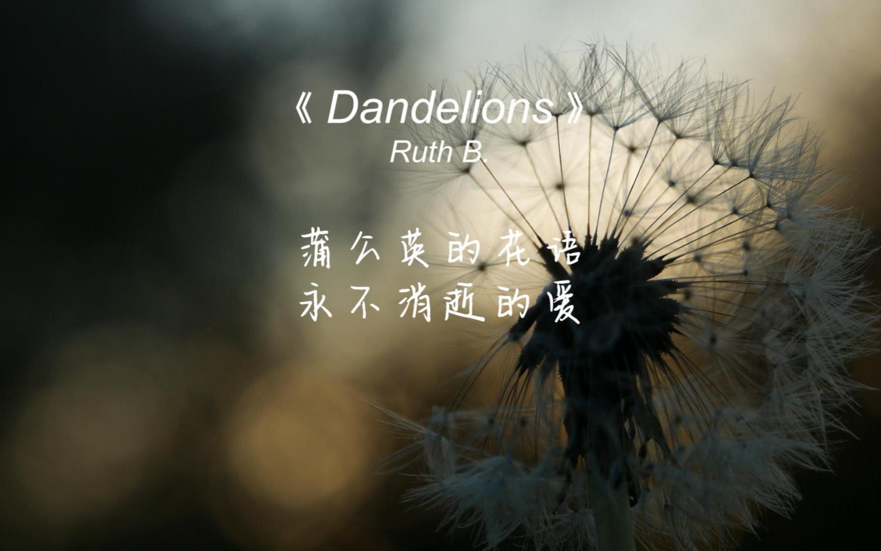 [图]《Dandelions》轻柔婉转的旋律很让人舒服，好听到炸