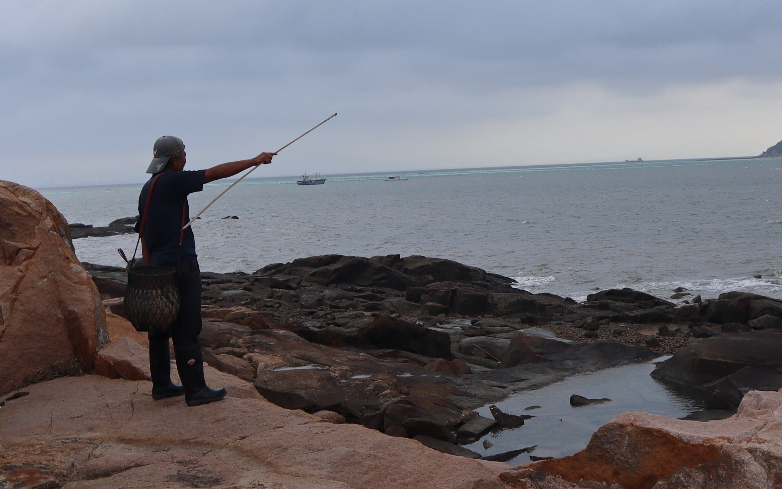 泰叔赶海来得太早没人抢,把附近找了个遍,今天这顿饭吃的太舒服