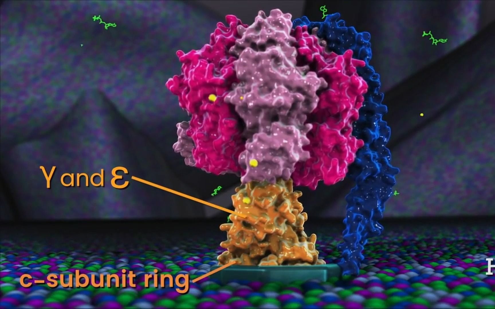 从3d的角度来观察atp合成酶是一种怎样的体验?