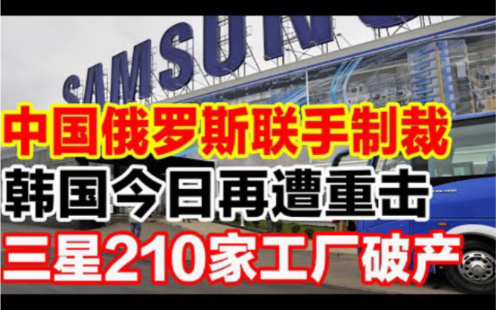 中国俄罗斯联手制裁,韩国今日再遭重击,三星210家工厂破产哔哩哔哩bilibili