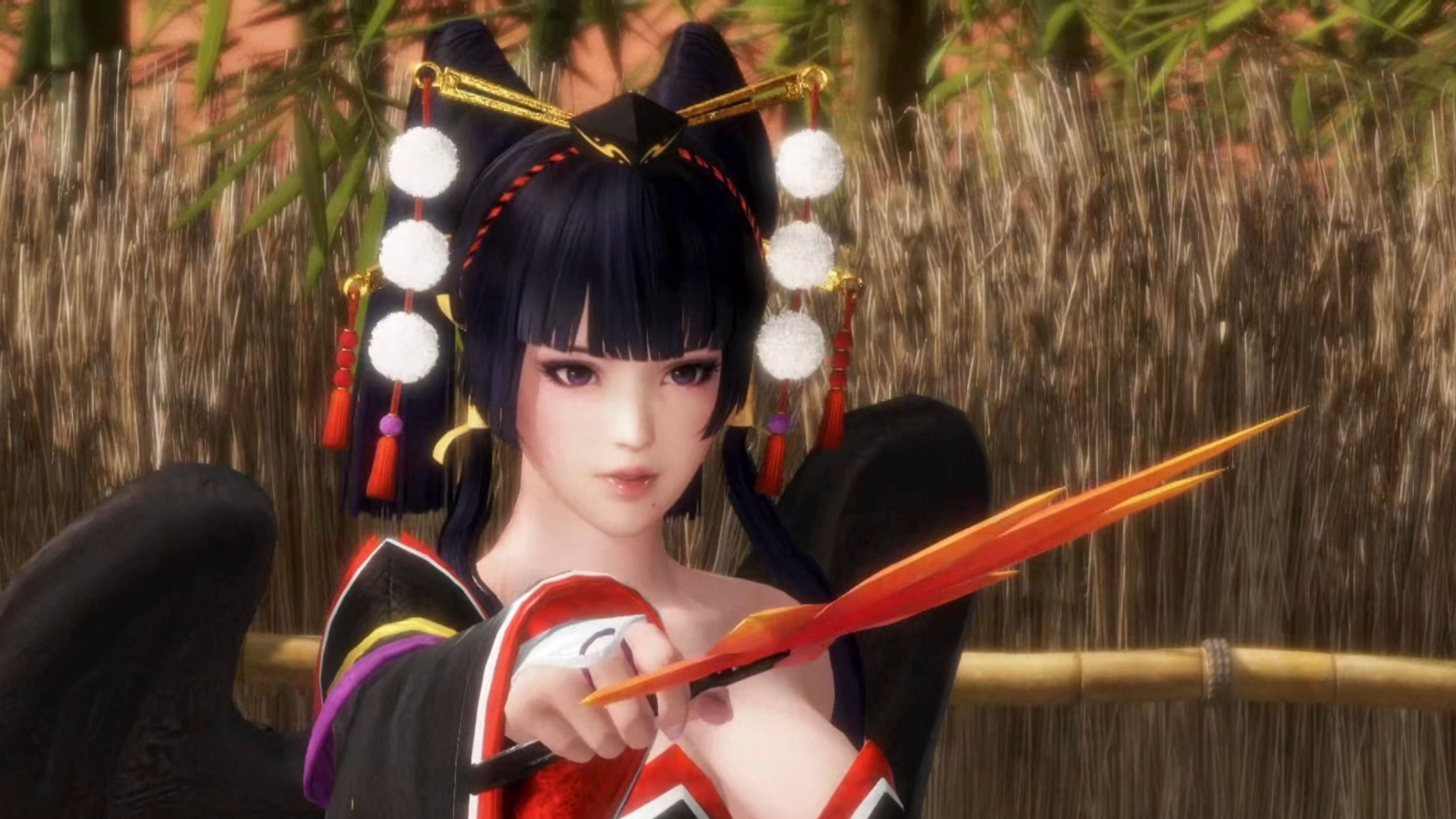 【死或生6】角色剧情