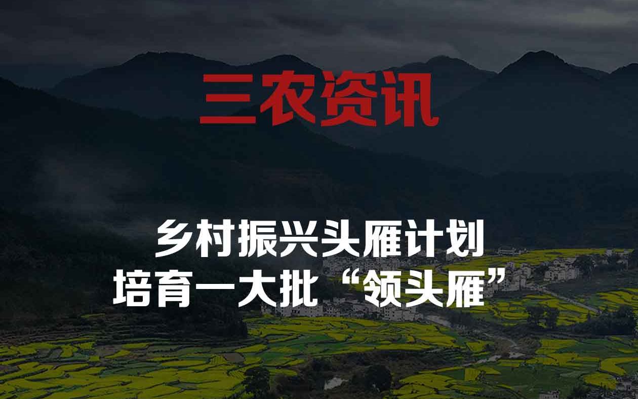 乡村振兴头雁计划,培育一大批"领头雁"