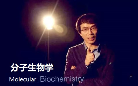 [图]【南京大学-杨荣武】分子生物学