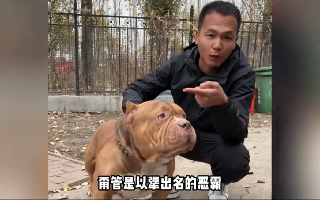 [图]窝心脚火龙果三顿吃到饱，恶犬自己的kk园区，潘宏被爱狗人士集火