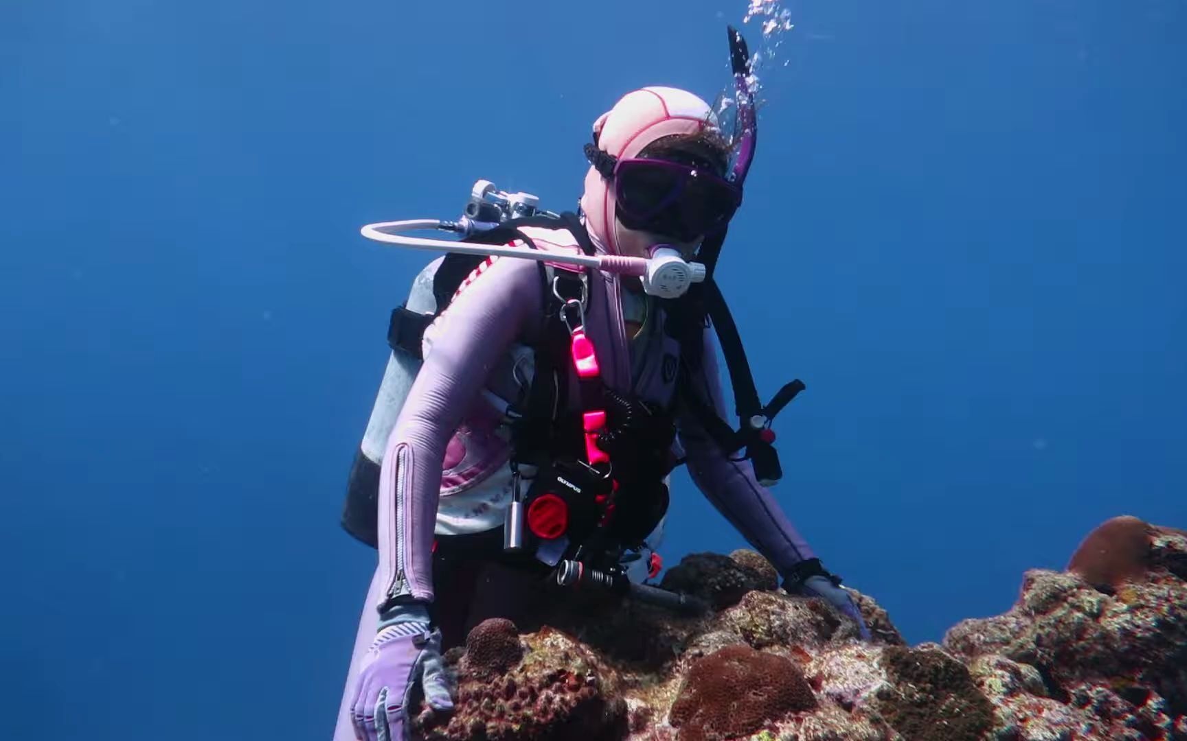 中性浮力不行的美女潜水员都喜欢趴礁石上