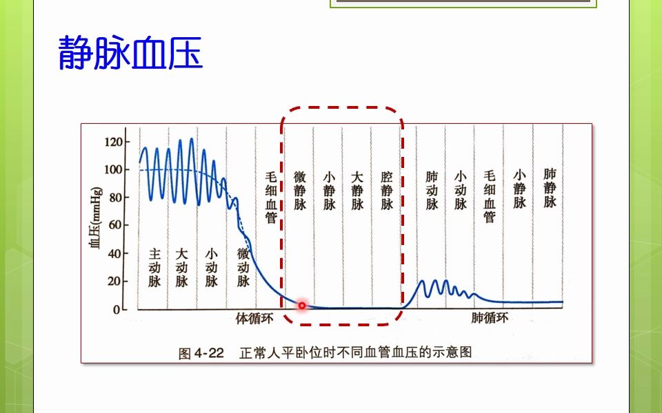 血液循环3-3 静脉血压和回心血量