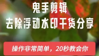 你在找能自动去除视频中的浮动字幕和移动水印的工具吗？一定要试试鬼手剪辑GhostCut，它是视频去字幕的实用工具，去除字幕，水印，贴纸，logo等等都很方便。