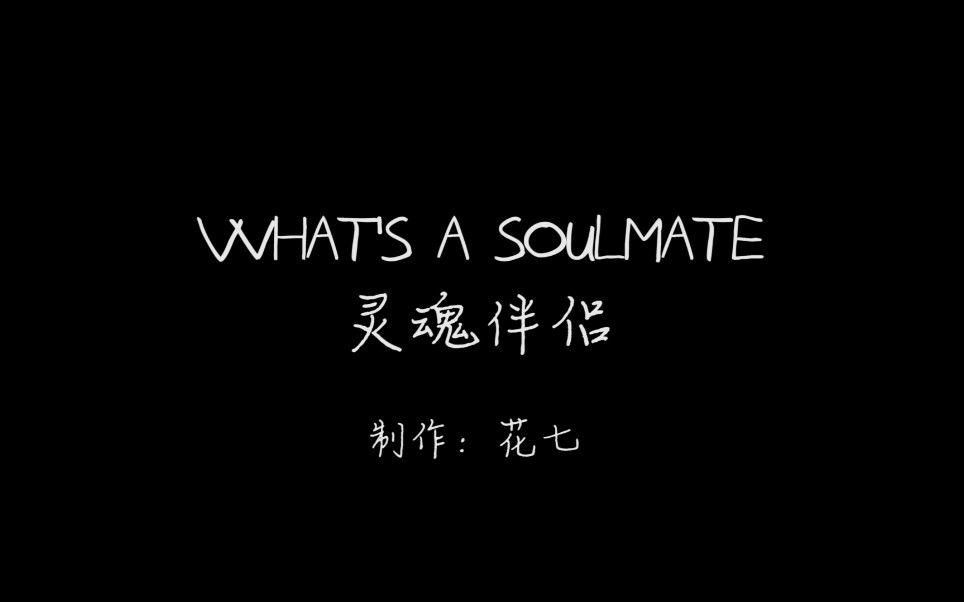 伽小双雄灵魂伴侣whatsasoulmate