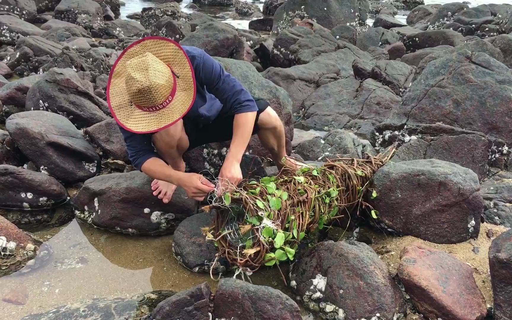 徒手赶海太难村大少用藤条树枝编织螃蟹笼扔进海果然有大收获