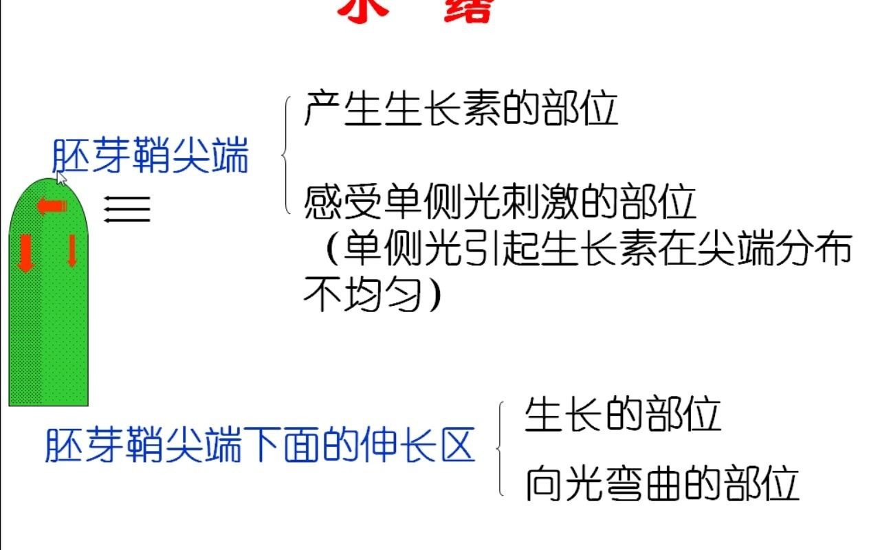 高中生物植物的向光性人教版高二上学期必修3第3章第1节 植物的向光性江苏省名师空中课堂哔哩哔哩bilibili