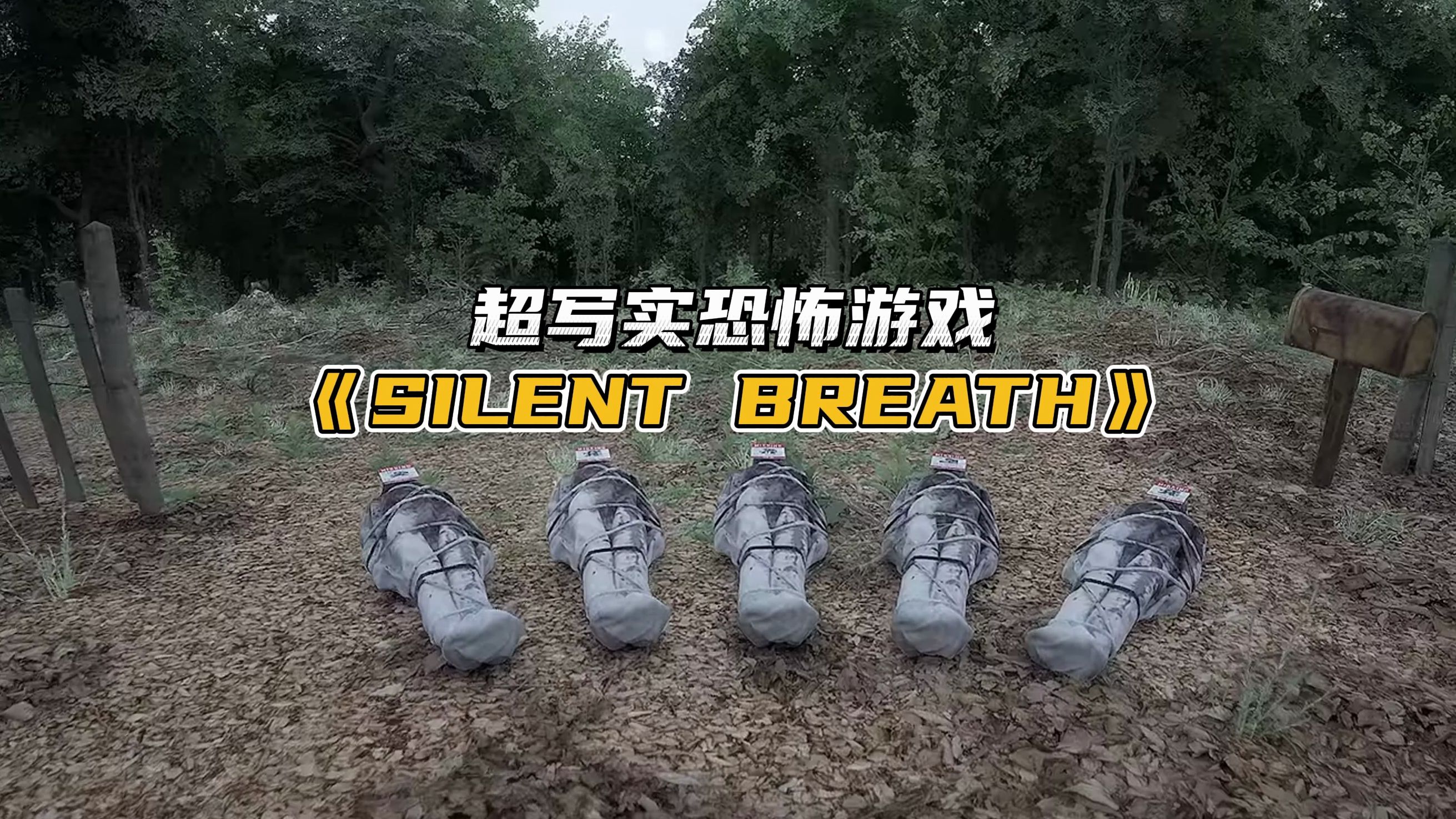 [图]超写实恐怖游戏《SILENT BREATH》