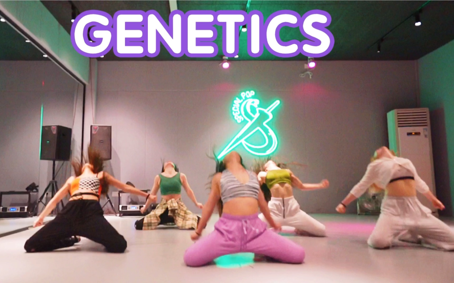 Genetics哔哩哔哩bilibili