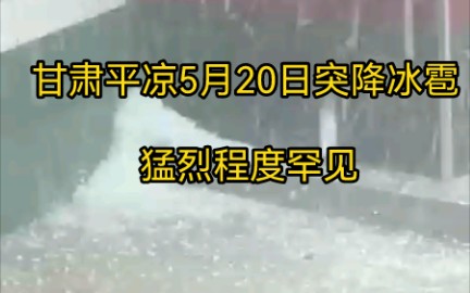 甘肃平凉5月20日突降冰雹,猛烈程度罕见哔哩哔哩bilibili