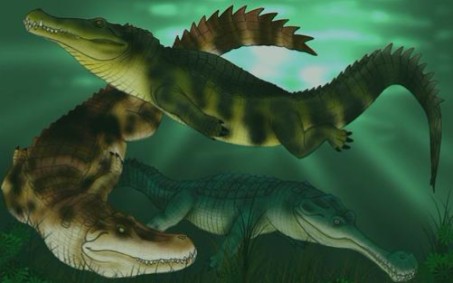 theisle异特龙vs艾伯塔龙