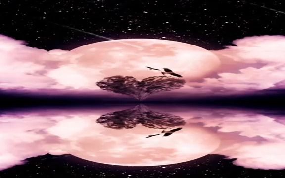 崔开潮 - 何珍妮 伴奏 高音质纯伴奏