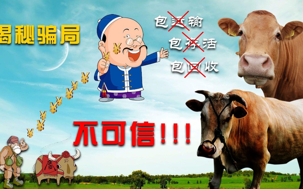 宝博体育- 宝博体育官网- 宝博体育APP下载 BaoBoSports警惕！“云养经济”藏非法集资骗局